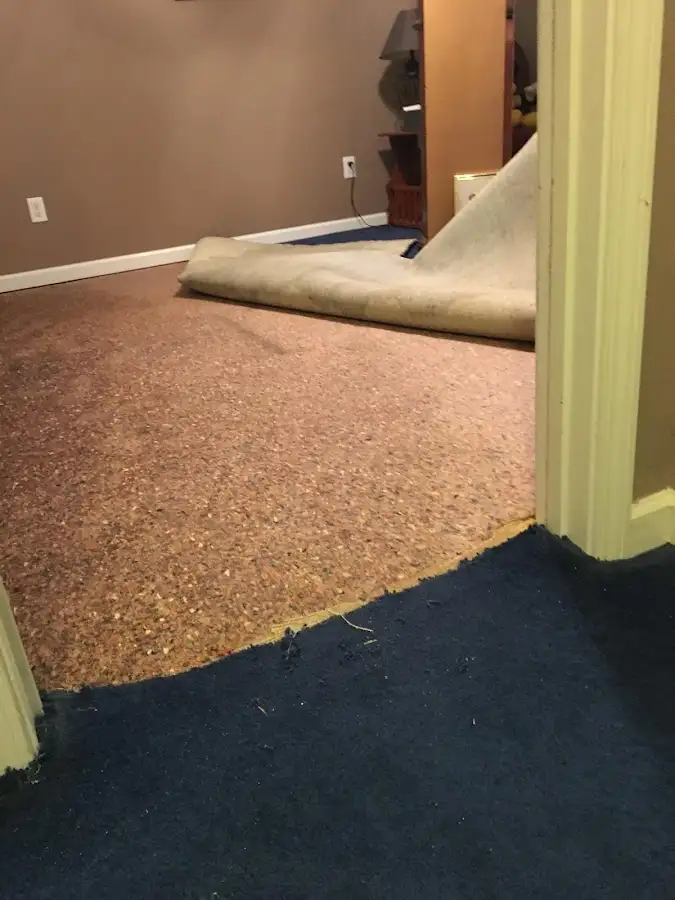 Carpet pad removal revealing water damage during Water Mitigation Services in Jacksonville